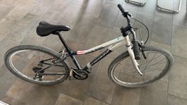 Crosswave Prime Rider 26 Zoll – Top Zustand