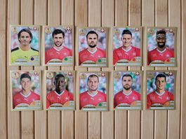 Panini Fussball Sticker Gold WM Russland 2018 Schweiz Set