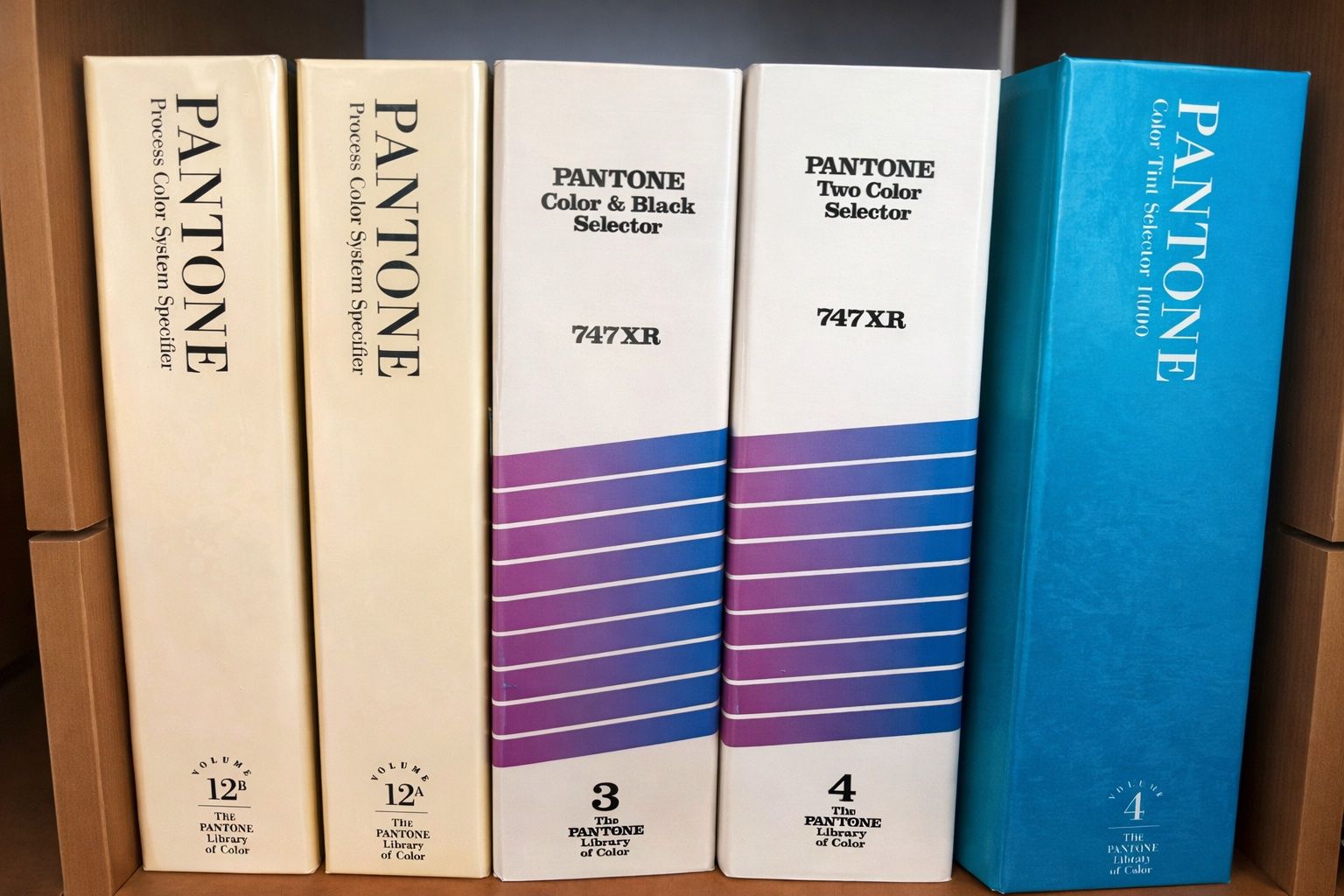 Raccoglitori: 5 Ordner /Bände Pantone Color Guide – Usato da Bolligen venduto da JaMiJe