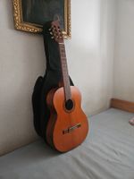 Ariana A379 Akustikgitarre inkl. Tasche