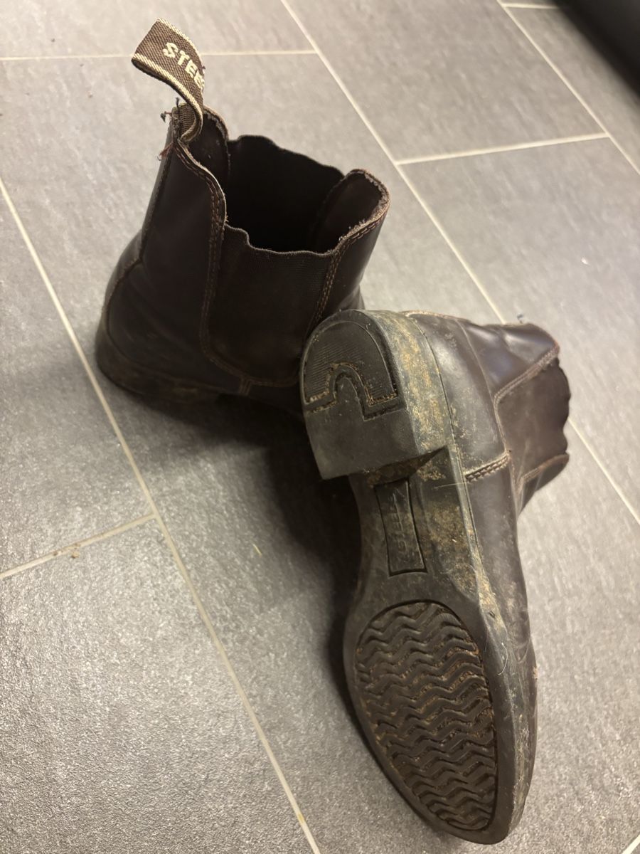 Chaussures garçon: Reit-Stiefeletten – D'occasion à Appenzell par Coco0 1