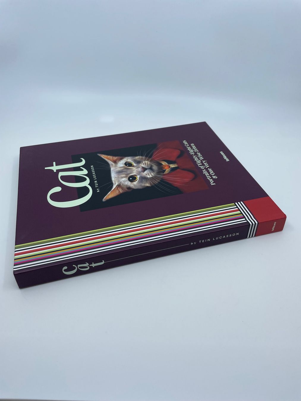 Libri: CAT - by Tein Lucasson – Nuovo (secondo la descrizione) da Pfeffingen venduto da Paco1991 2