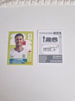 Panini Sticker ENG20