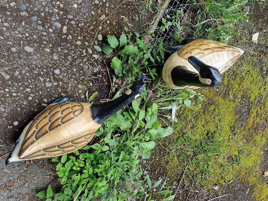 Statuette: 2 lustige, dekorative Enten aus pappmache – Usato da Mumpf venduto da ivd_y8hf 1