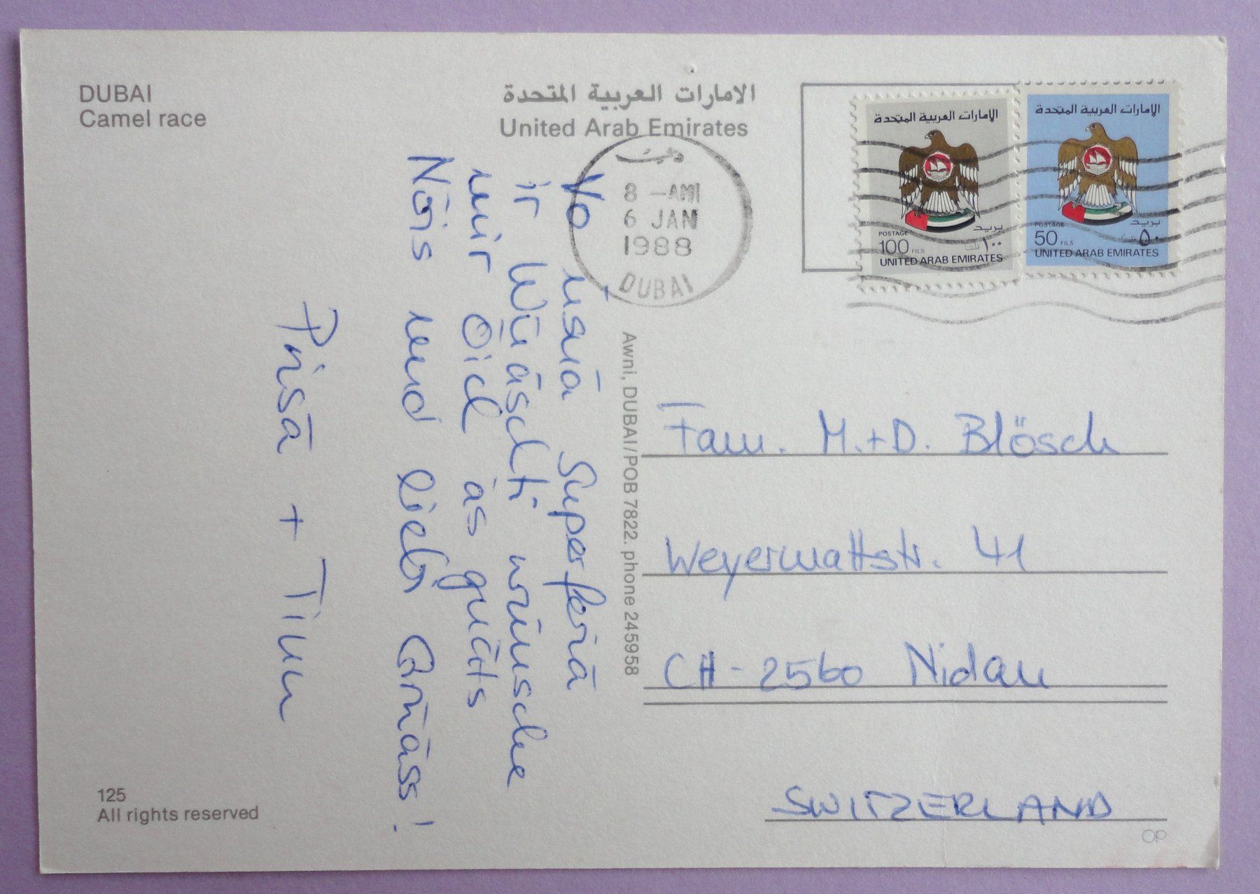Cartoline postali: Dubai, Camel race – Usato da Fétigny venduto da Billy2miny 1