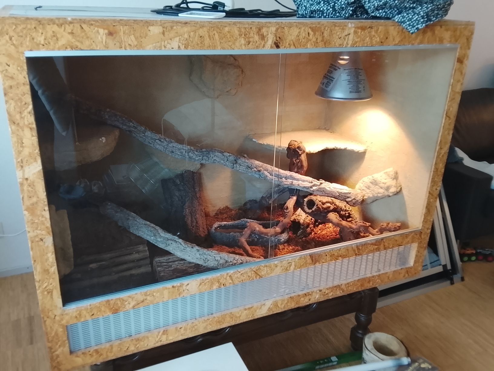 Terrario: GROSSES TERRARIUM – Usato da Mellingen venduto da sar_hgr7