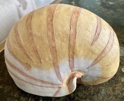 Deko-Schale Nautilus/Muschel, handbemalt, Sommer-Dekoration