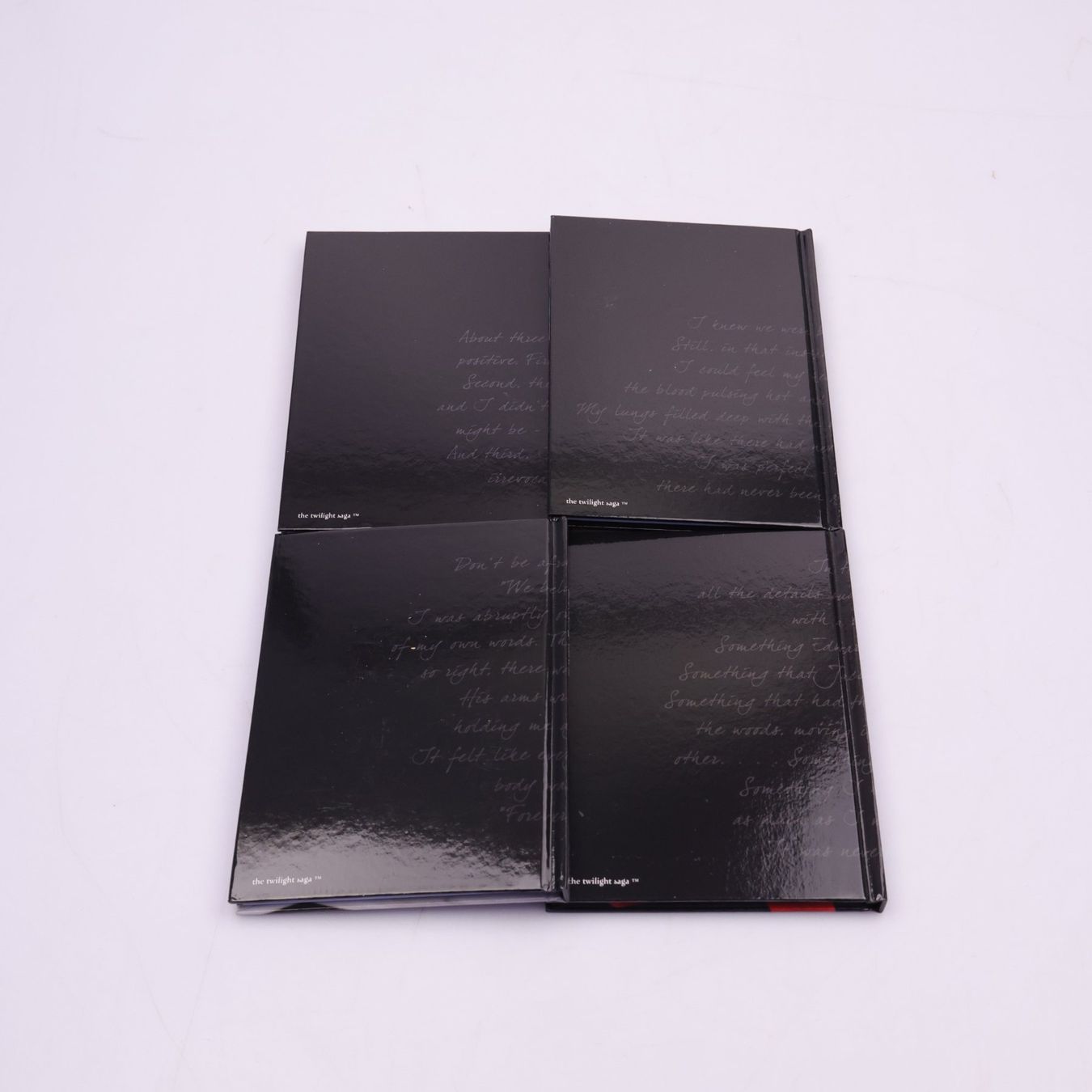 Libri: The Twilight Saga Journal Set – Usato da Volketswil venduto da brockipfannenstil 7