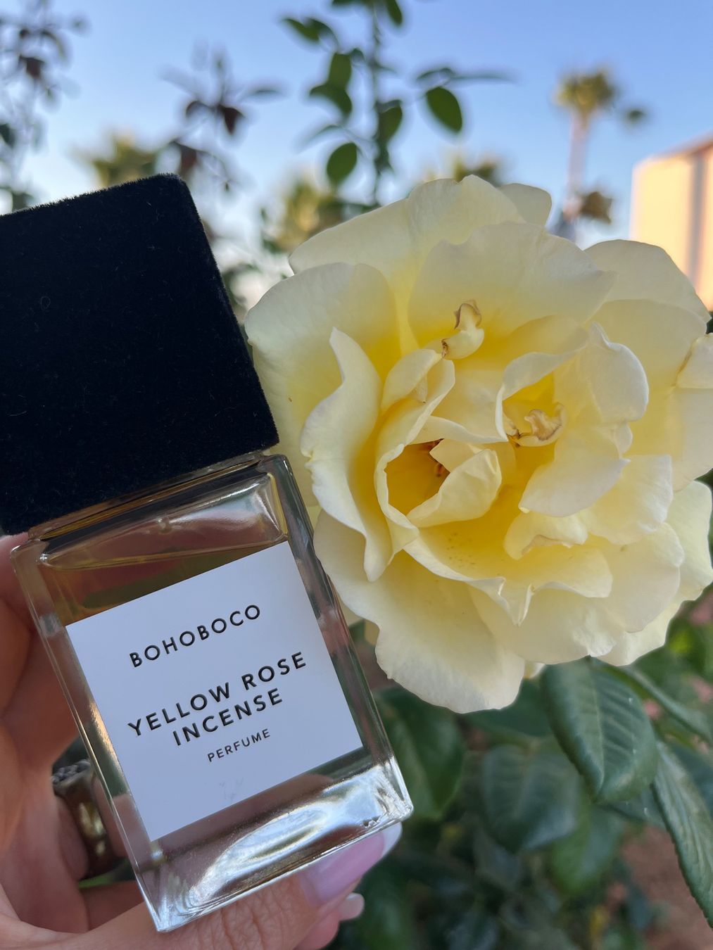 Parfum & Eau de Toilette: Yellow Rose Incense by Bohoboco 12 ml sample – Neu (gemäss Beschreibung) aus Chêne-Bougeries von Seetooyoo 6