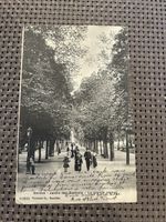 Carte postale ancienne Genève Jardin des Bastions rare!
