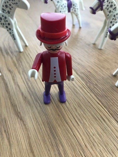 Playmobil Spielzeuge: Playmobil (Pferdedressur) – Gebraucht aus Herisau von ErWi9100 1