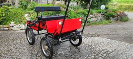 Pferdekutsche / Pferdewagen, 1 oder 2-Spänner