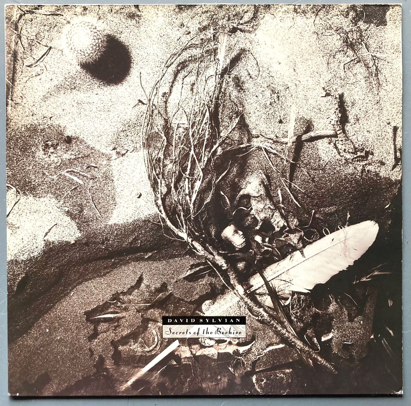 Dischi in vinile: DAVID SYLVIAN - SECRETS OF THE BEEHIVE – Usato da Poliez-Pittet venduto da Newtown-Records