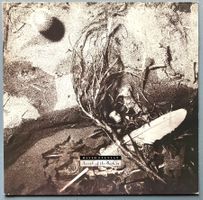 DAVID SYLVIAN - SECRETS OF THE BEEHIVE