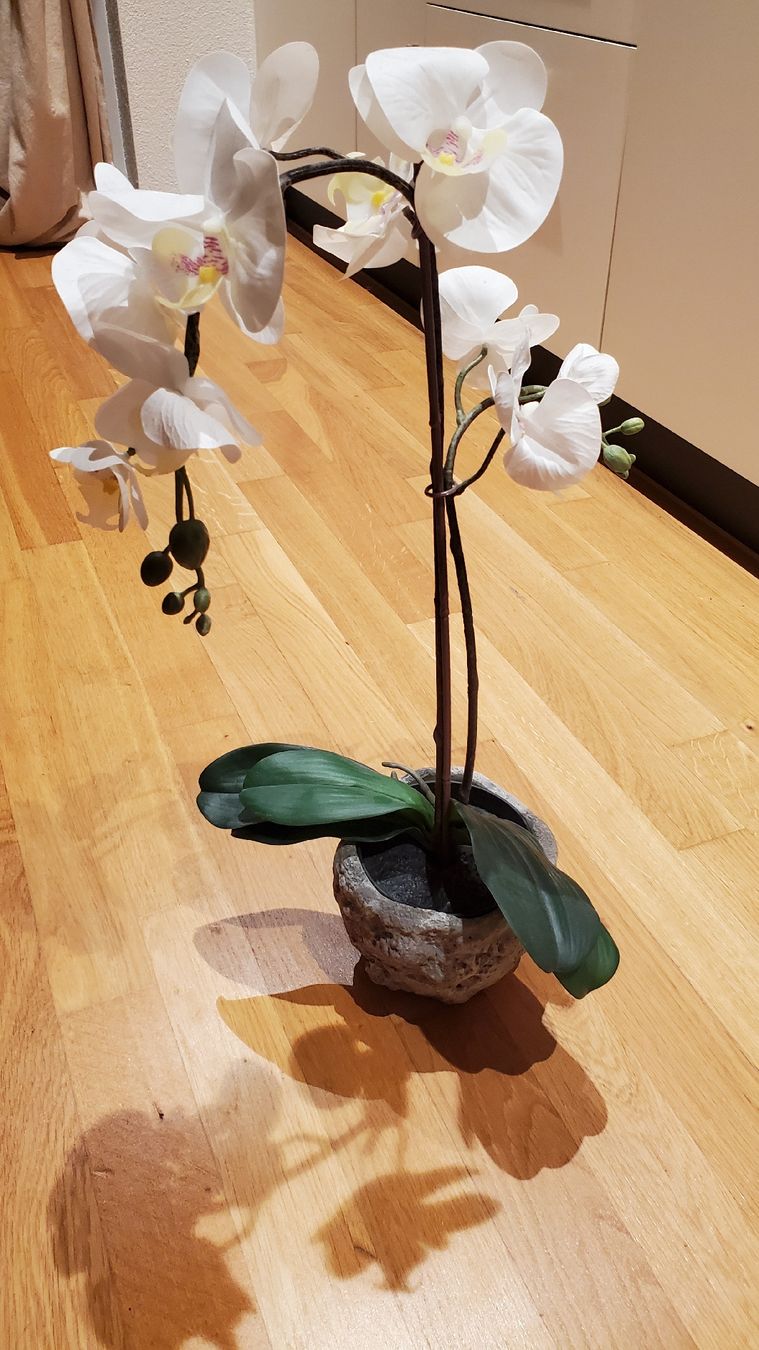 Alle Dekorationen: Künstliche Orchidee weiss mit Steinübertopf – Gebraucht aus Uster von lof_2xmz