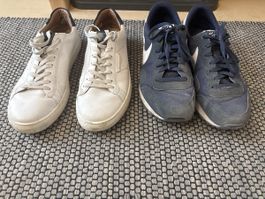 Männer Schuhe 47.5