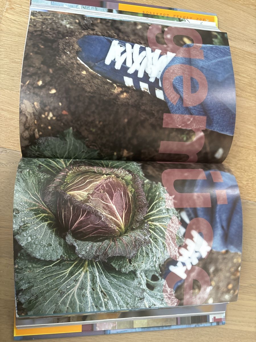 Libri: Kochbuch "Kochen mit Jamie Oliver" – Usato da Bern venduto da Bumbler 2