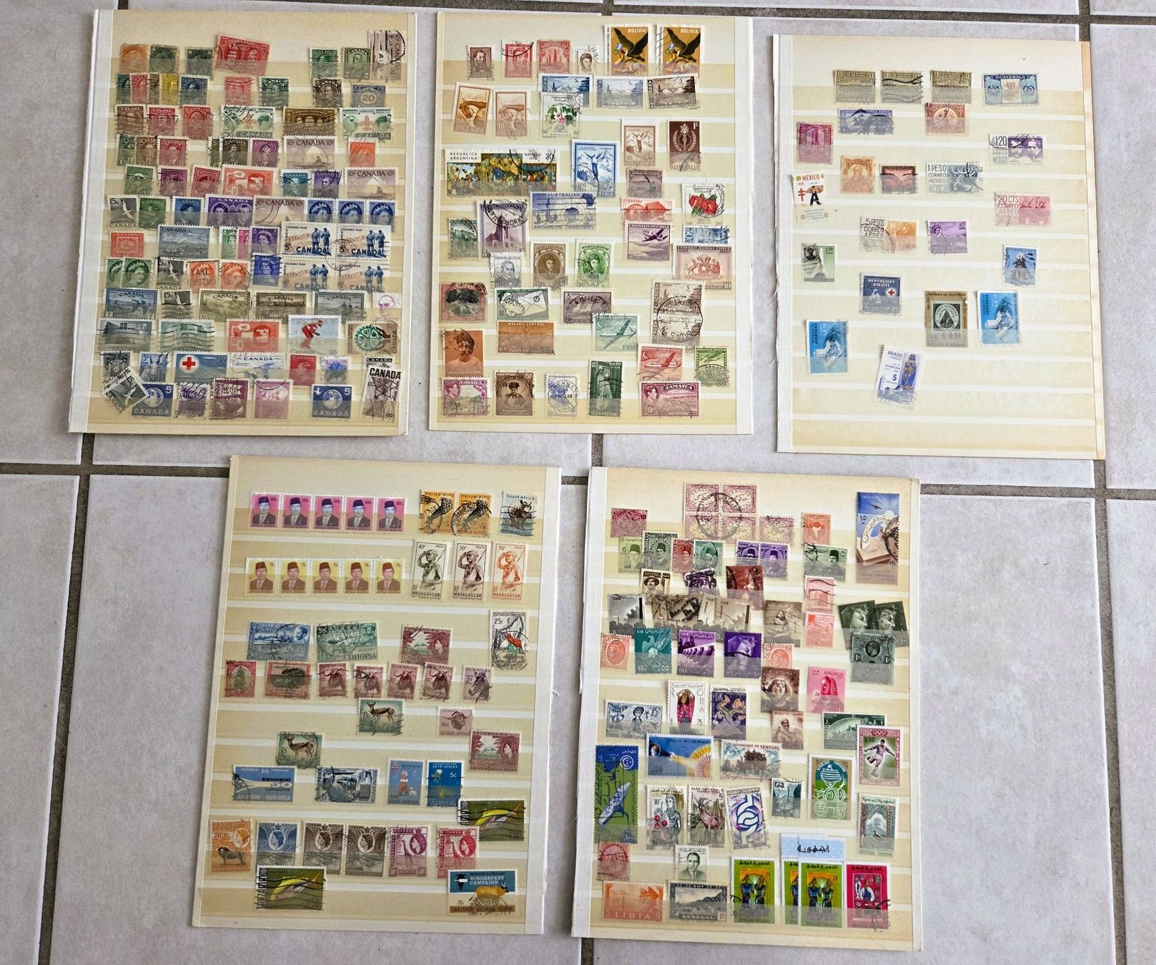 Tutti i francobolli: DIVERSE BRIEFMARKEN SAMMLUNG - VERSCHIEDENE LÄNDER – Usato da Brüttisellen venduto da Nighttrain 1
