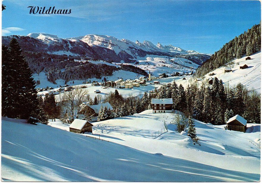 Cartoline postali: WILDHAUS Bodenweidli und Churfirsten – Usato da Jona venduto da philajona