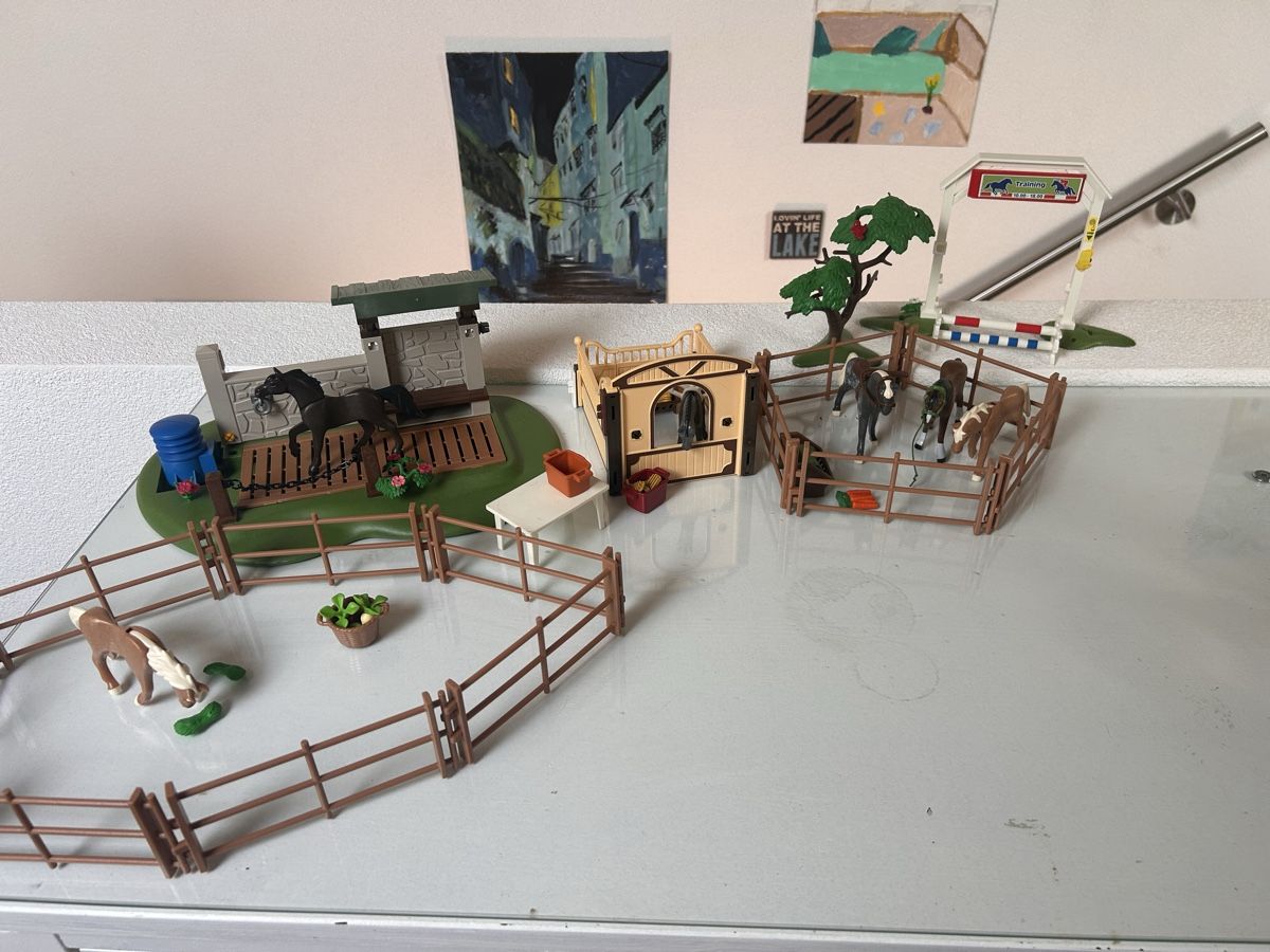 Playmobil Giocattoli: Playmobil Reiterhof Sets – Usato da Bern venduto da NILES8575