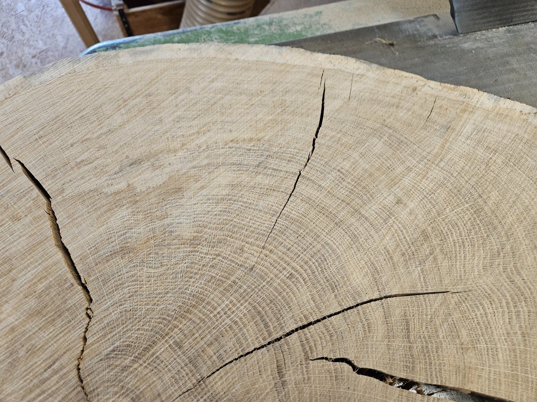 Holzartikel: Eichen Holz Baumscheibe – Neu (gemäss Beschreibung) aus Schangnau von egli6.2 4