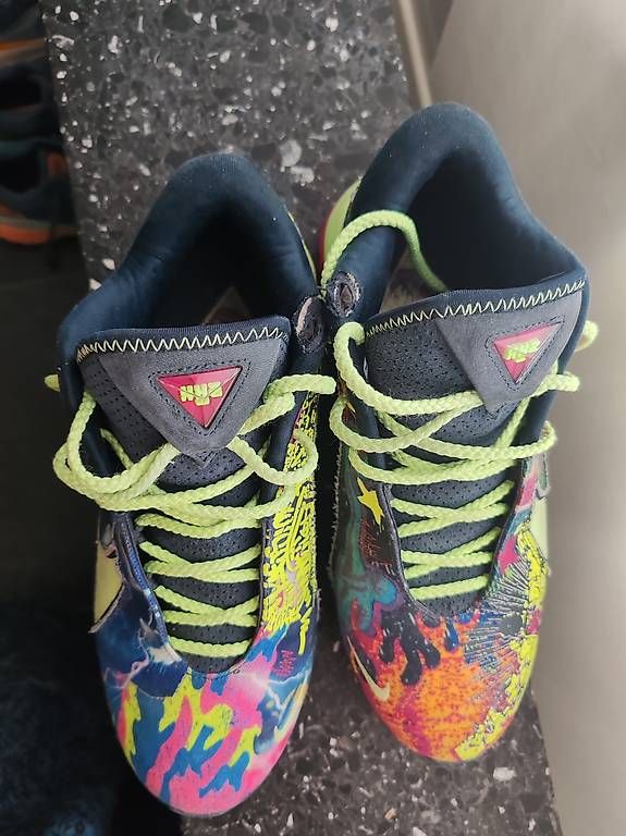 Herrenschuhe: Nike LeBron 22 'Bryce's World' size 43EU – Gebraucht aus Luzern von rao_bpv8 2