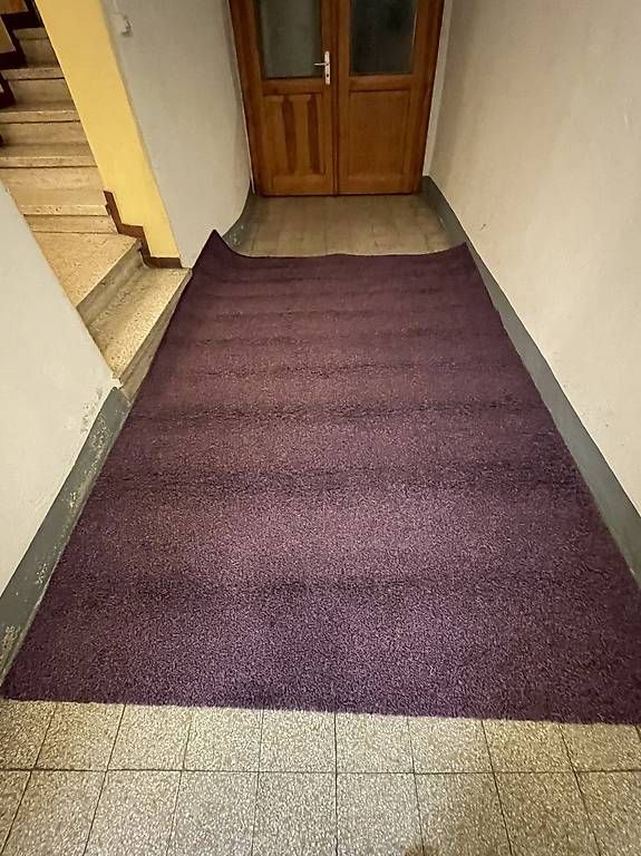 Tappeti: Vendo tappeto viola – Usato da Maroggia venduto da ila_bb5l