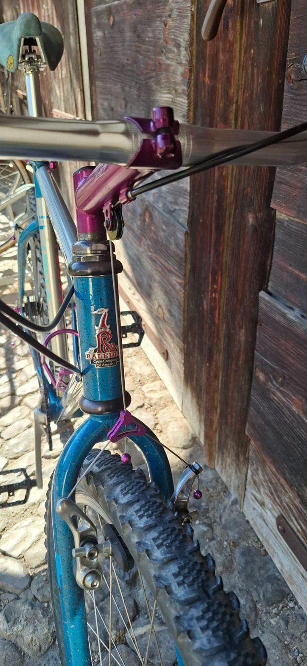 Raleigh Velos: Kult MTB Raleigh – Gebraucht aus Adliswil von trujillo01 2