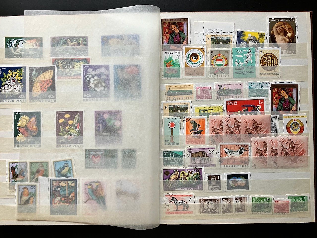 Tutti i francobolli: Ungarnsammlung im Steckalbum – Usato da Nesslau venduto da andi_hon 6