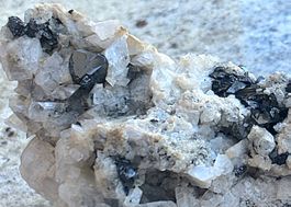 Mineral: Magnetit mit Rutil. Rundum auskristallisiert.