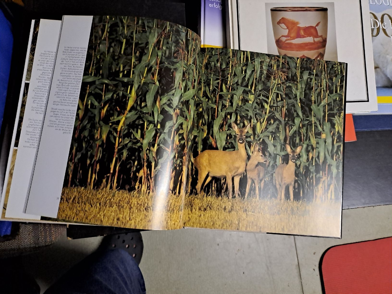 Libri: Unsere Wildtiere - Tierbuch – Usato da Zürich venduto da Schoebi19 4