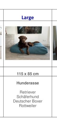 Letti: Dog's Company Hundebett gross – Nuovo e nell'imballaggio originale da meisterschwanden venduto da Focusli 1