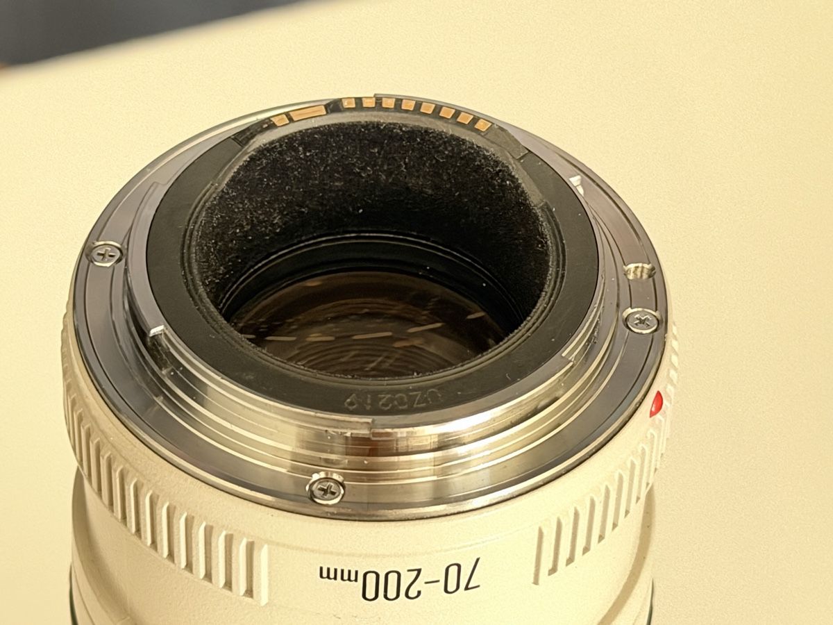 Canon Objektive: Canon EF 70-200 f4 – Gebraucht aus Thayngen von Karbonara 3