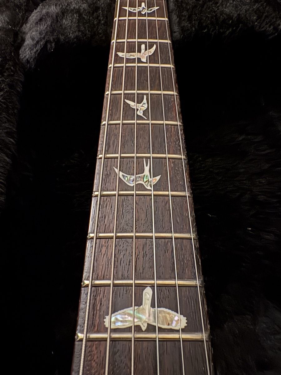 PRS Strumenti musicali: PRS Custom 24 USA 2019 – Usato da Horw venduto da SuzeCassis 5