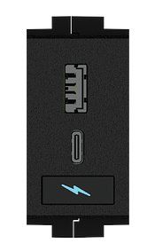 Componenti elettronici: FT2A-CHGR-USBA/C USB Rapid Charging Module for FT2 ELEC Se – Usato da Rothenburg venduto da BildundTon