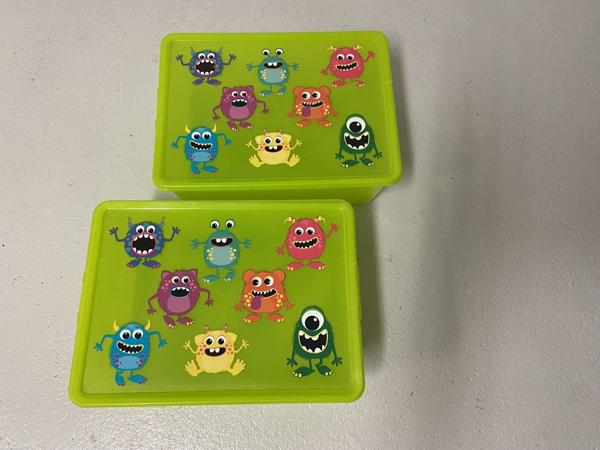Sonstiges für Haushalt & Wohnen: Kinder Aufbewahrungsboxen, 2 Stück – Gebraucht aus Muttenz von rog_gs96