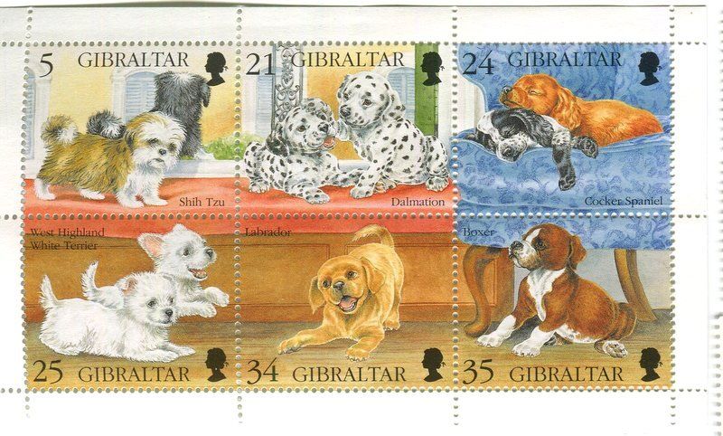 Tutti i francobolli: Block "Labrador, Boxer, Dalmatiner". Gibraltar – Nuovo e nell'imballaggio originale da Basel venduto da Butsch5