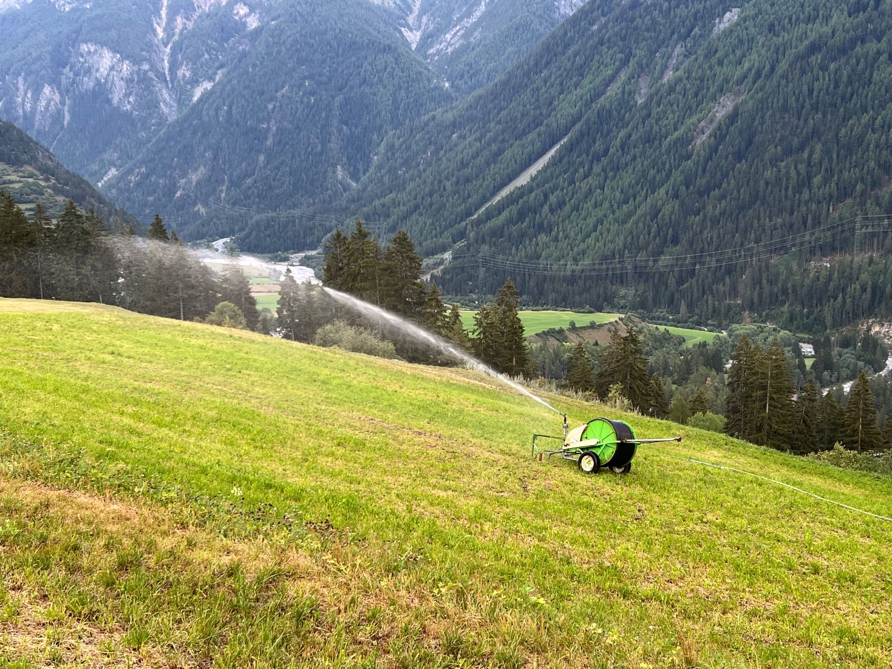 Tubi & Tubi flessibili: Beregnung Bewässerungrolle Bauer – Usato da Sent venduto da Joey01 7