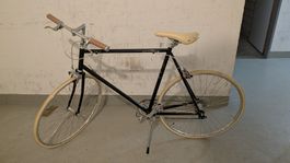 Velo Yiwu schwarz (60cm)