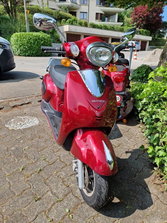E-Roller Erider Beauty E300 Vespino Rot (mit Ersatz-Roller) (Gebraucht ...