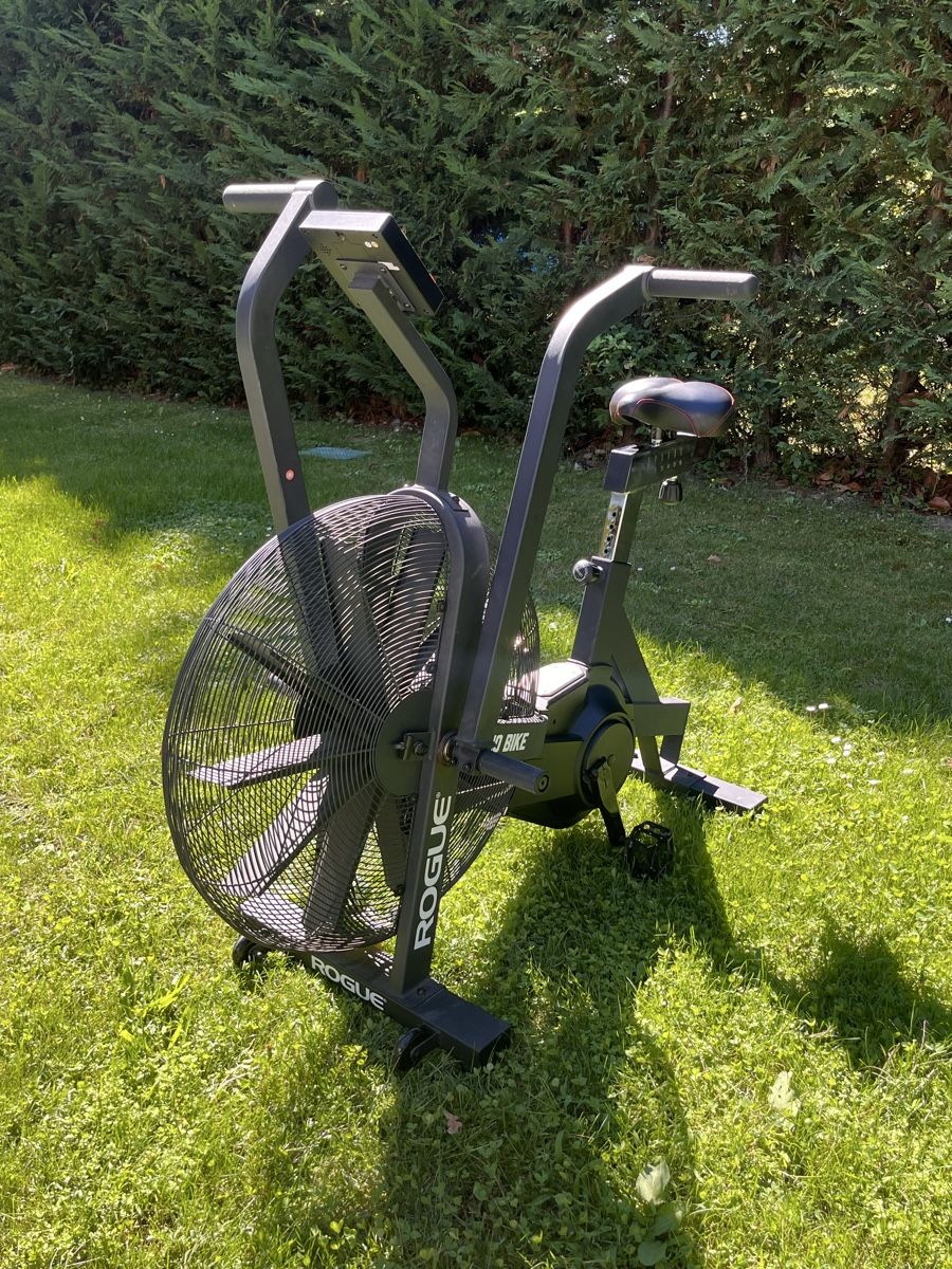 Rogue Hometrainer: Rogue echo bike  – Usato da Collonge-Bellerive venduto da ola_69vq 3