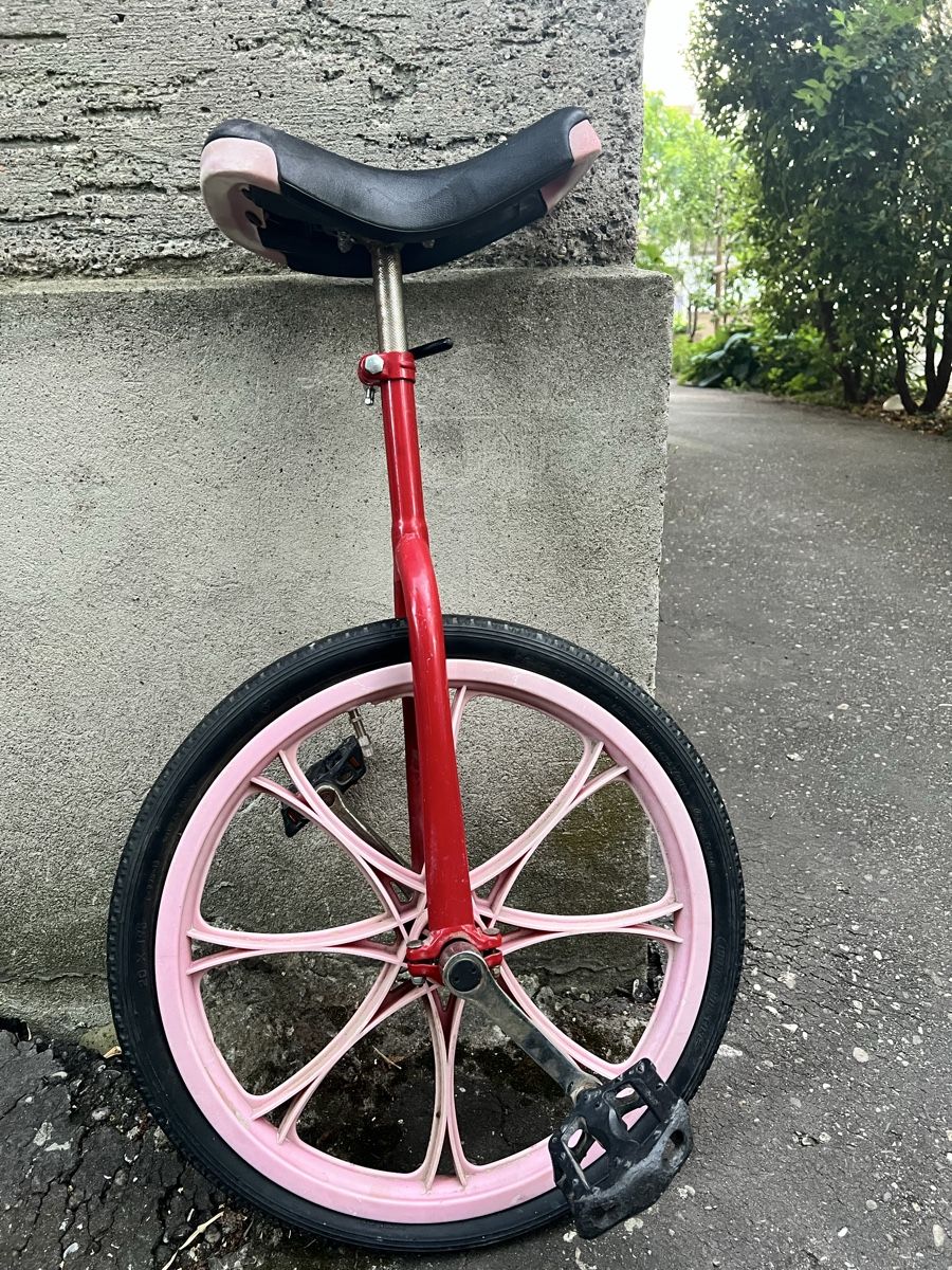 Biciclette: Rotes Einrad, pinke Felge – Usato da Basel venduto da Kasodra
