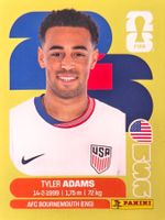 Carte FIFA World Cup 2026 USA 8
