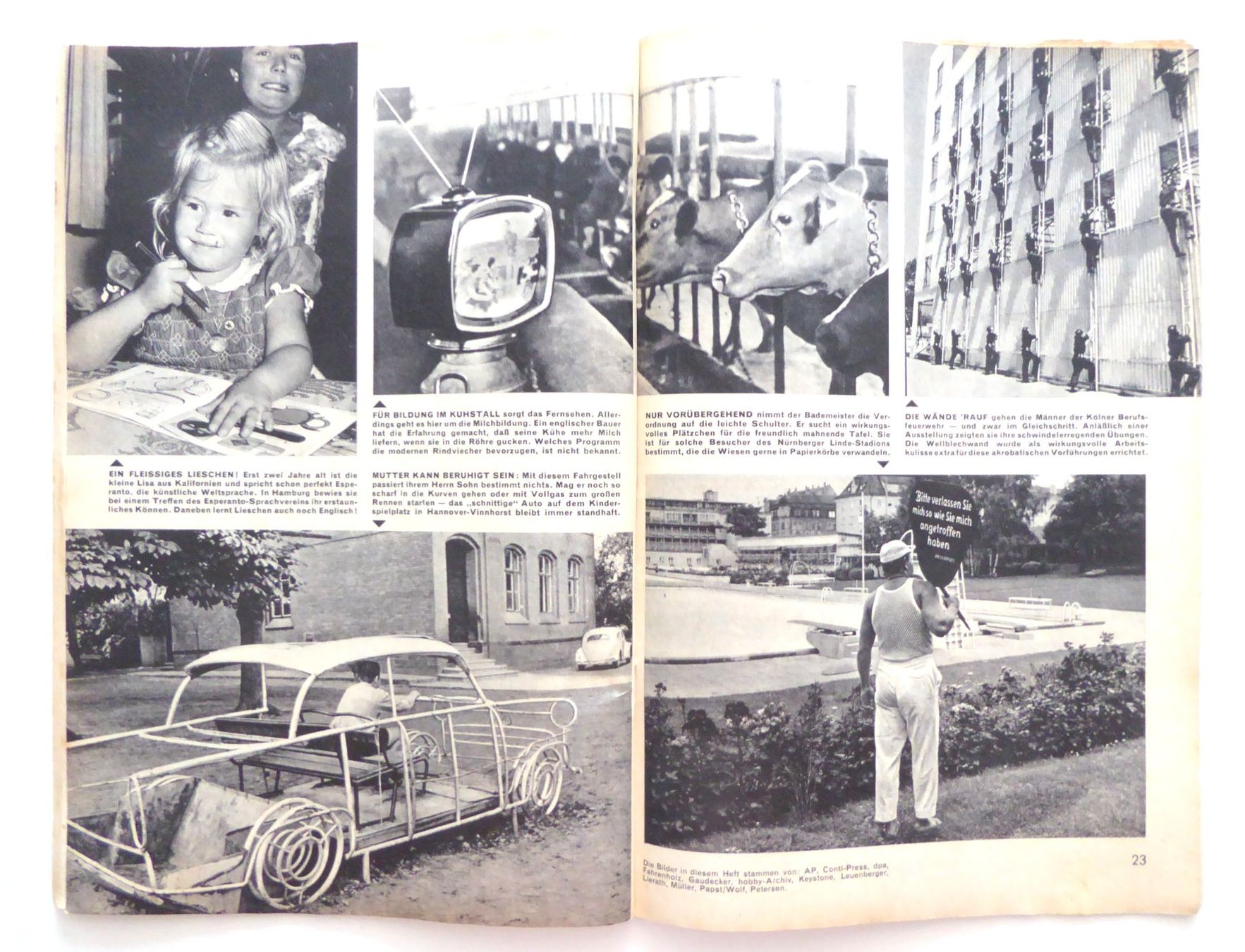BD: WD Micky Maus Heft Nr. 38 September 1961 – D'occasion à Aesch BL par Kauri1 5