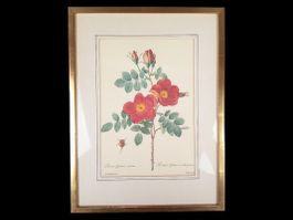 Blumenbild in Bilderramen