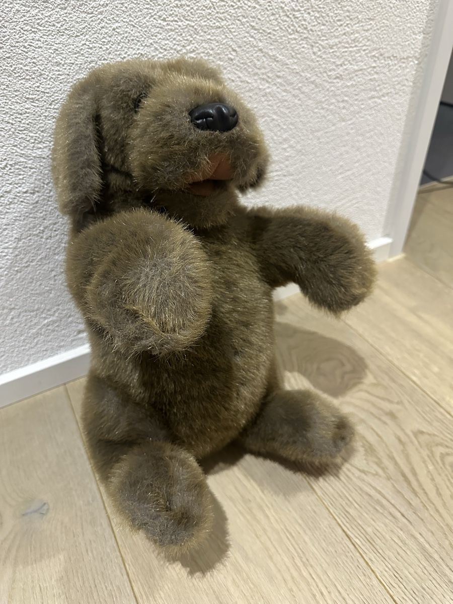 Giocattoli: Folkmanis Handpuppe "Sitzender Hund"  – Nuovo (secondo la descrizione) da Altendorf venduto da Quietwater 1