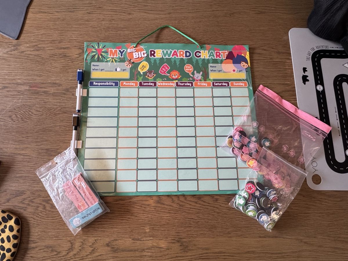 Giochi: Belohnungstabelle Motivationstafel mit Magneten! – Usato da Buchs ZH venduto da crazyhandbaggirl123