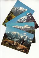 Lörtscher Frutigen 4 Fotokarten ca. 1965