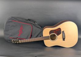 Walden D803E Westerngitarre mit Fishman Presys