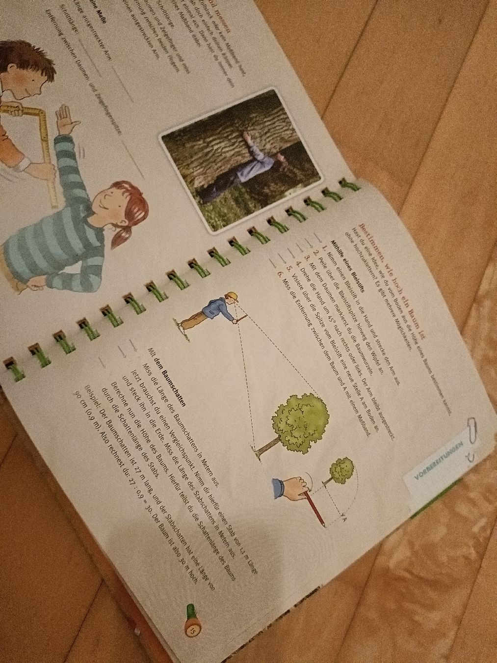 Libri: Abenteuer im Wald, 2 Bücher – Nuovo (secondo la descrizione) da Gossau SG venduto da scania1509 5